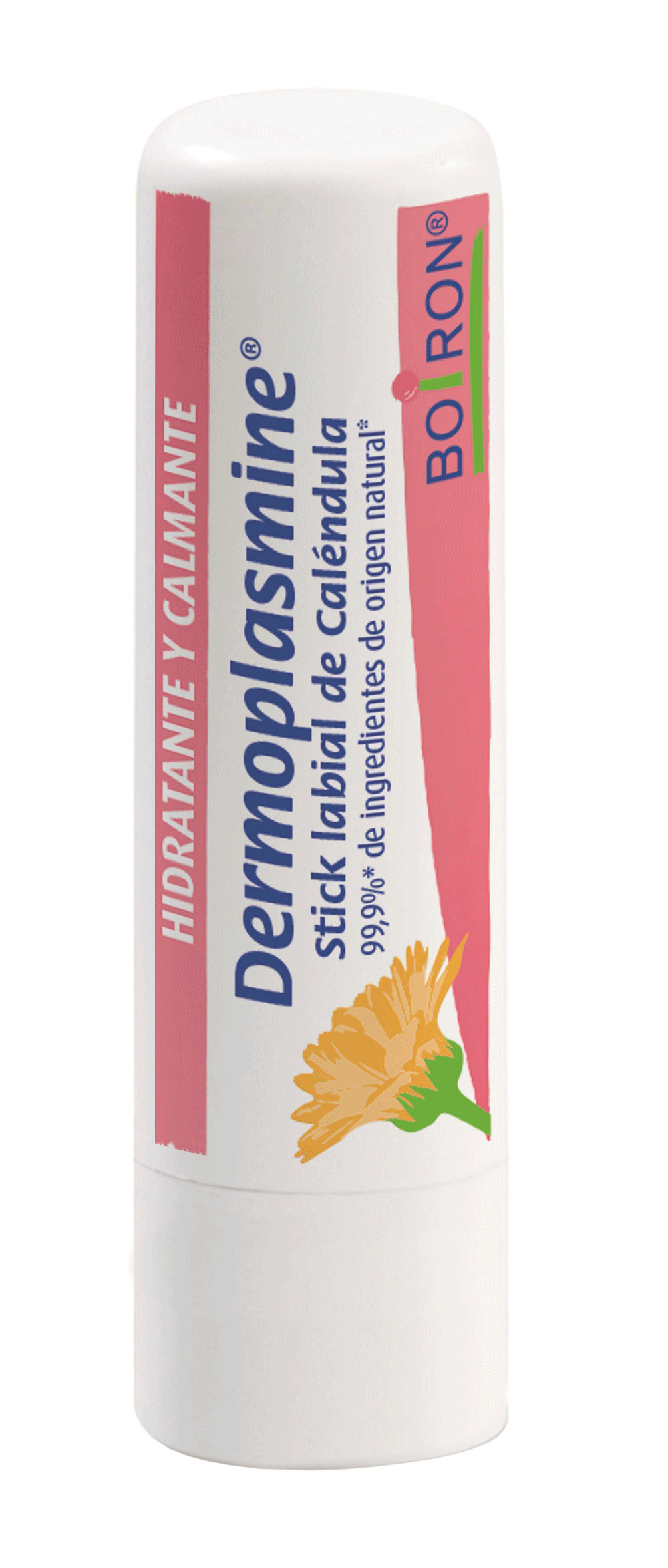 DERMOPLASMINE STICK LABIAL 4G