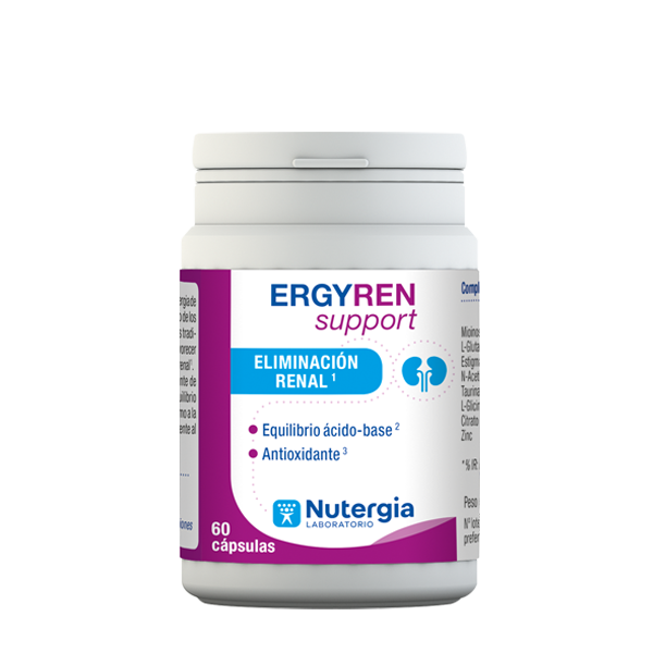 ERGYREN Support