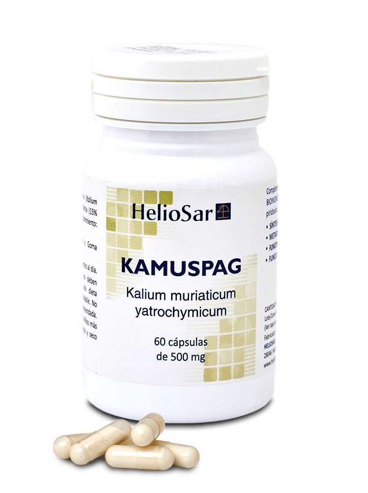 KAMUSPAG